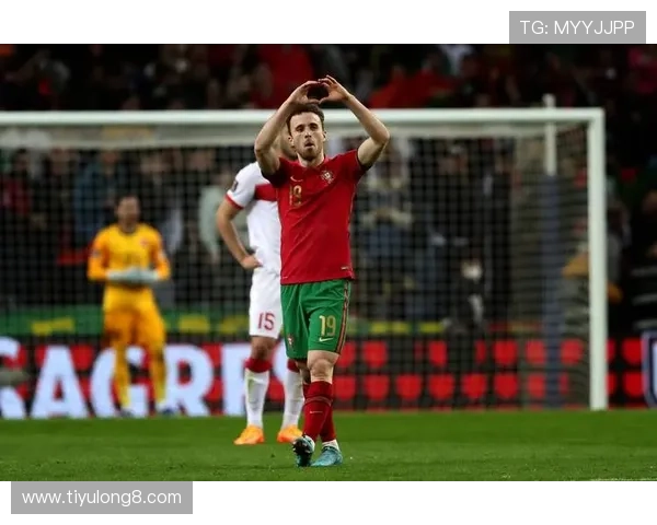 深入解析世界杯预选赛欧洲区积分榜中葡萄牙队的排名走势与晋级前景